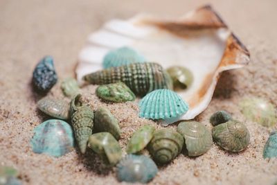 High angle view of pebbles on table