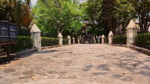 Walkway along trees