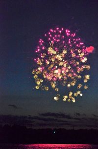 Low angle view of firework display