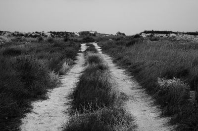 Footpath amidst plants on field against clear sky