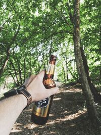 View of hand holding beer bottle on tree trunk in forest