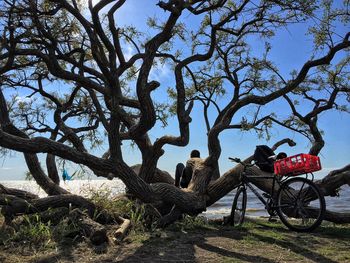 Rear view of man sitting on branch on shore at costanera sur ecological reserve