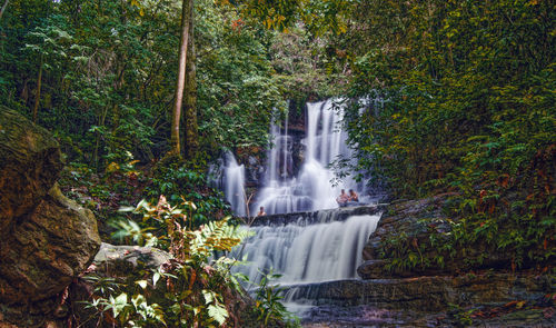 Waterfall in forest