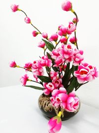 Close-up of pink flowers