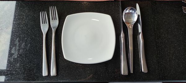 Directly above shot of empty plate on table