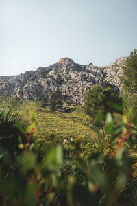 Scenic view of mountains against clear sky