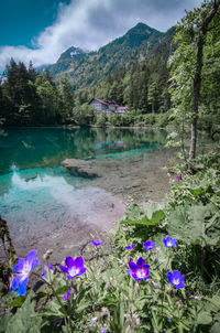 Scenic view of lake against cloudy sky