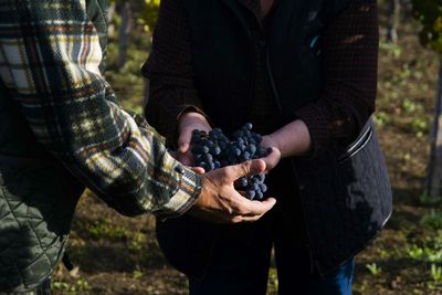 Midsection of woman giving grapes to man on field