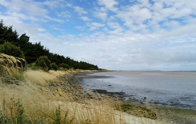 Scenic view of beach against sky