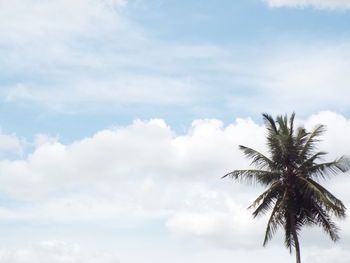 Low angle view of palm trees against sky