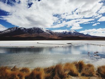 Scenic view of lake by snowcapped mountains against sky