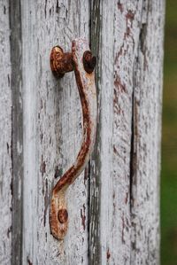 Close-up of rusty metal on wooden door