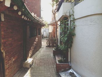 Narrow alley along buildings