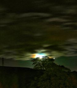 Trees on landscape against sky at night