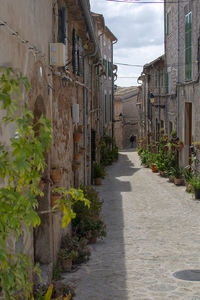 Narrow alley amidst buildings in city