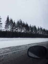Trees on snow covered landscape against sky