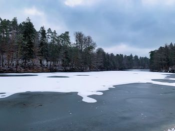 Trees by lake against sky during winter