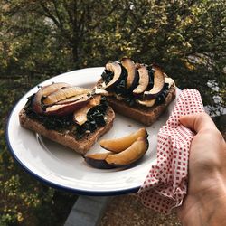 Cropped image of hand holding fresh plum sandwich served in plate