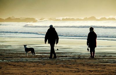 Silhouette man walking with dog on beach