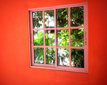 Trees seen through glass window