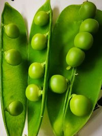 High angle view of tomatoes