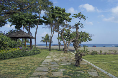 Trees by sea against sky