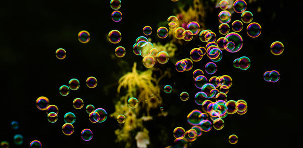 Close-up of bubbles against black background