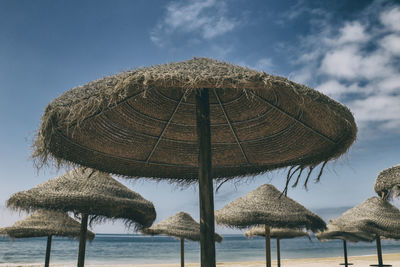 Straw umbrellas, portugal