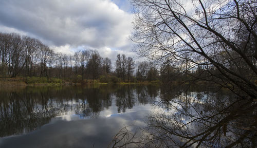 Scenic view of lake by trees against sky