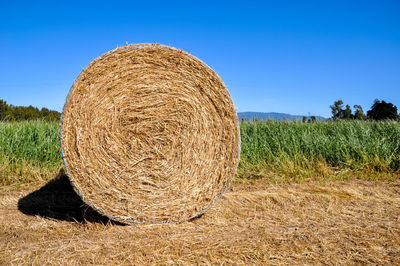 Hay bales on field against clear sky