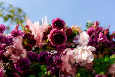 Close-up of pink rose bouquet