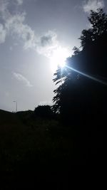 Low angle view of silhouette trees against sky