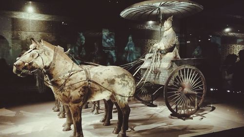 Horses on illuminated street at night