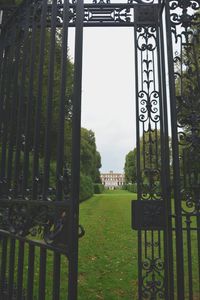 View of green gate in garden