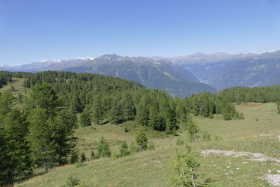 Scenic view of trees and mountains against sky