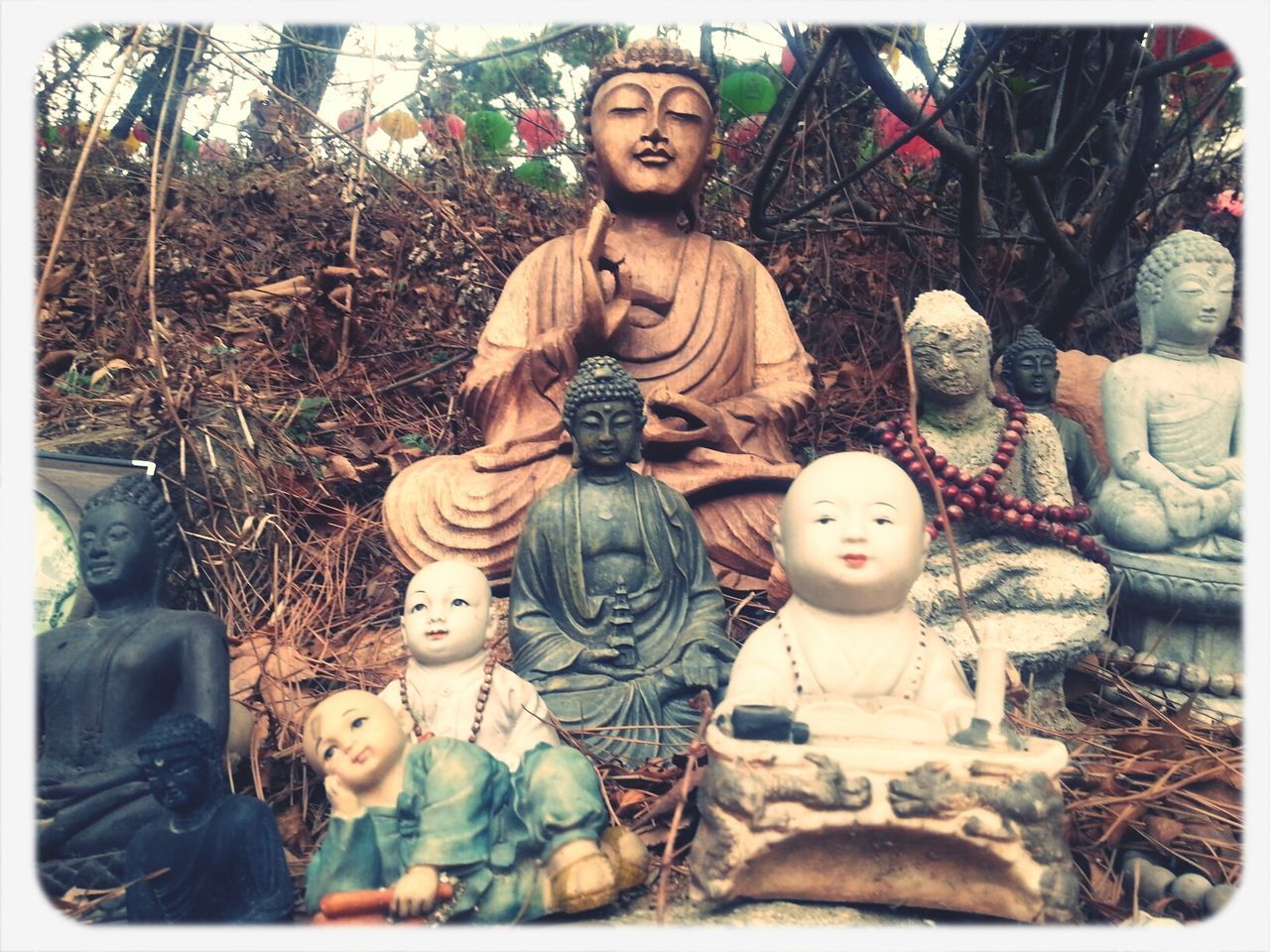 Buddhas