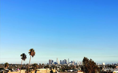 Trees and buildings against blue sky