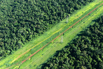 Aerial views of power lines through the jungle in brazil.