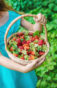 Midsection of girl holding strawberries in basket