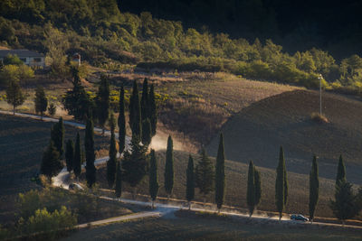 Scenic view of landscape