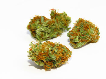 High angle view of vegetables on white background