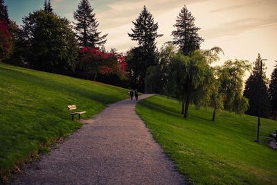 Footpath amidst trees and plants in park