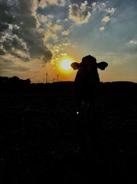 Silhouette horse standing on field during sunset