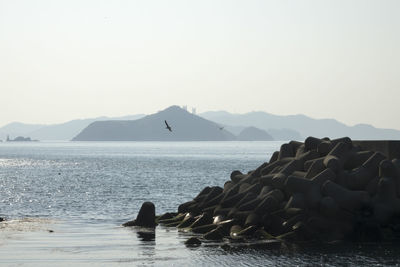 Scenic view of sea with against sky flying birds