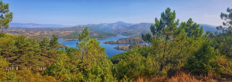 Plants growing by lake against sky