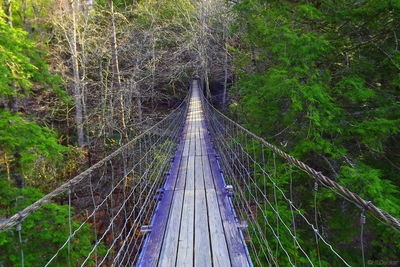 rope bridge