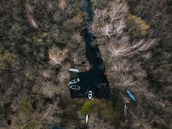 High angle view of rowboats amidst trees in forest