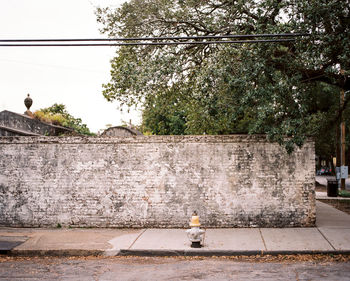 Rear view of man on wall