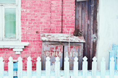 Cat sitting on weathered cabinet against house