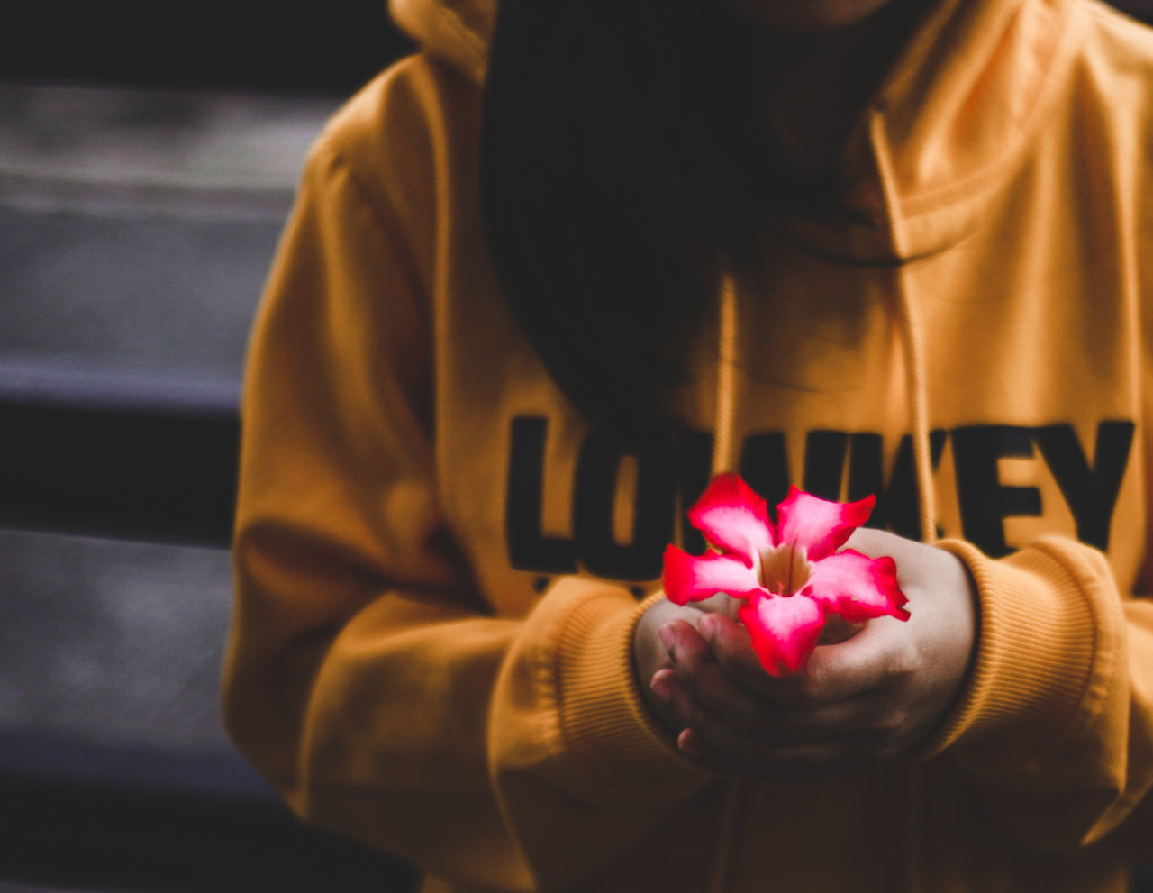 CLOSE-UP OF WOMAN HOLDING PINK FLOWER STANDING BY RAILING